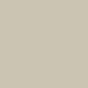 Wren_N55
