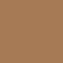 Saddle_N21