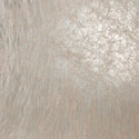 ion_wheat