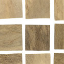 coconut_husk_weathered