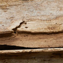 weathered_wood