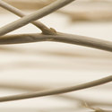 twigs