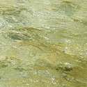river_bed
