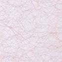 wisp_rose_gold