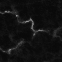 alabaster_black_with_white