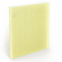Lemon_N14