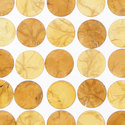 capiz_honey_sienna