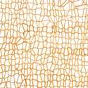 woven_raffia