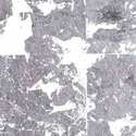 gild_silver