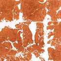 gild_copper