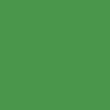 Cilantro_G40