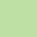 Zucchini_G44