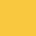 Squash_Y14