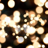lights