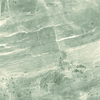 lithic