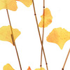 gingko thatch