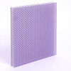 Violet V07