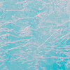 lunar iced