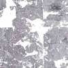 gild silver